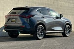 2025 Lexus NX NX 250